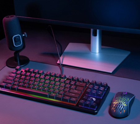 Professional gaming setup