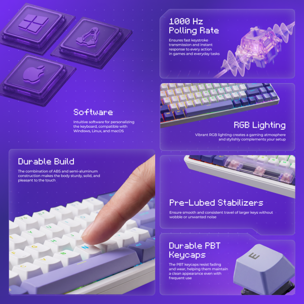 Cyrex