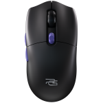 Black/purple