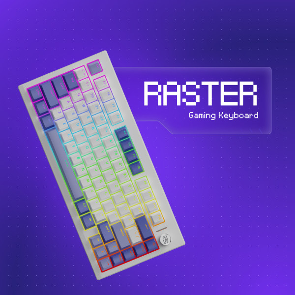 Raster