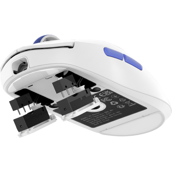 RC Raider 8K